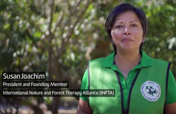 Introducing Forest Therapy to students