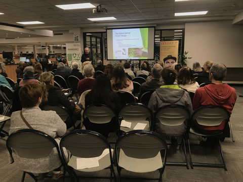 Info Session Forest Therapy